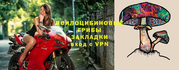 синтетический гашиш Карпинск