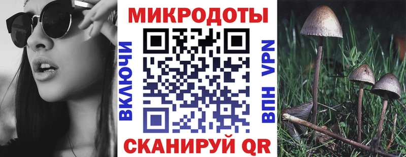 Псилоцибиновые грибы Cubensis Кольчугино